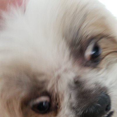 ChangeOrg profile picture for @cu