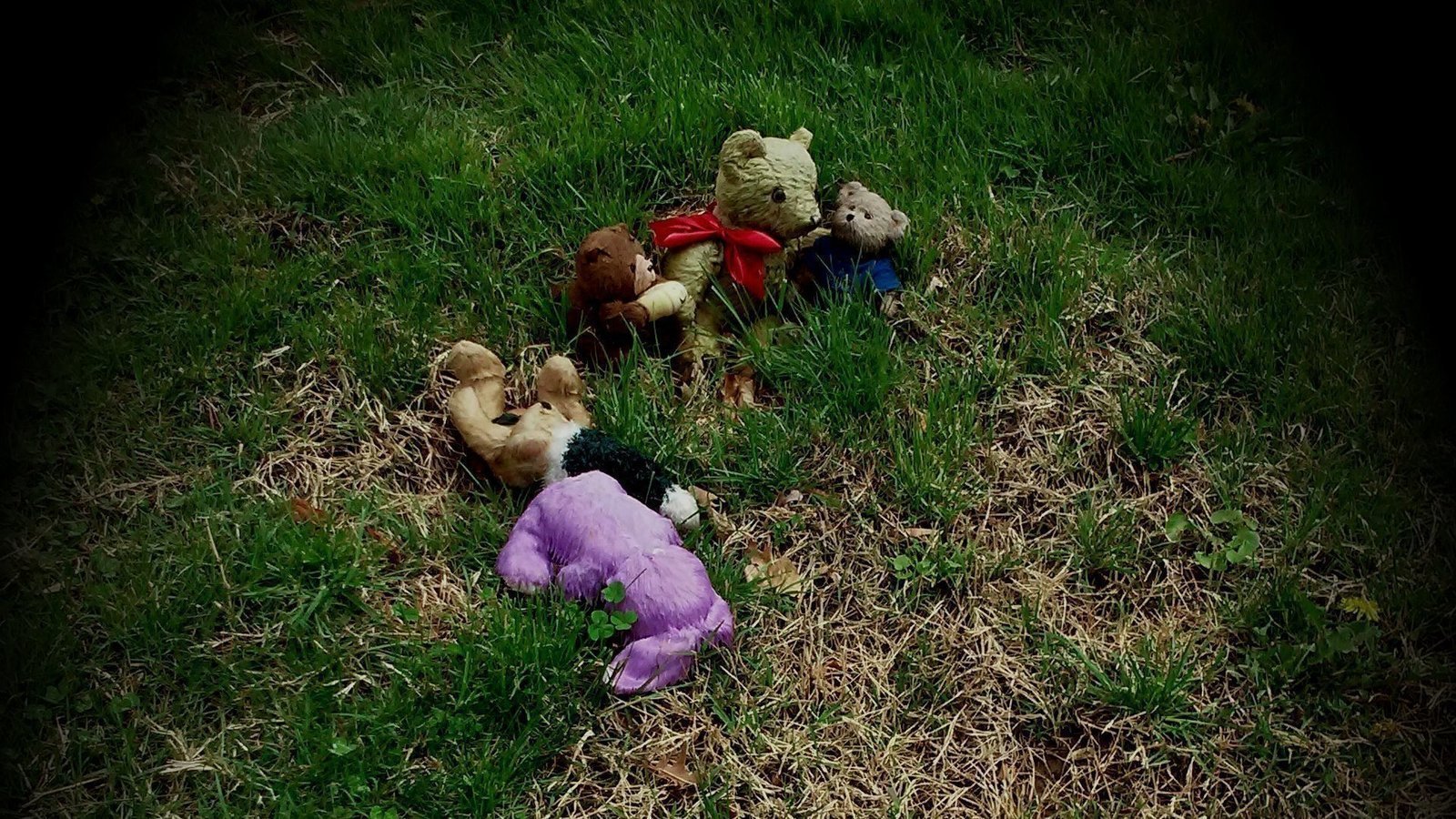 Petition · Provide Gosnell Babies a Proper Memorial ·