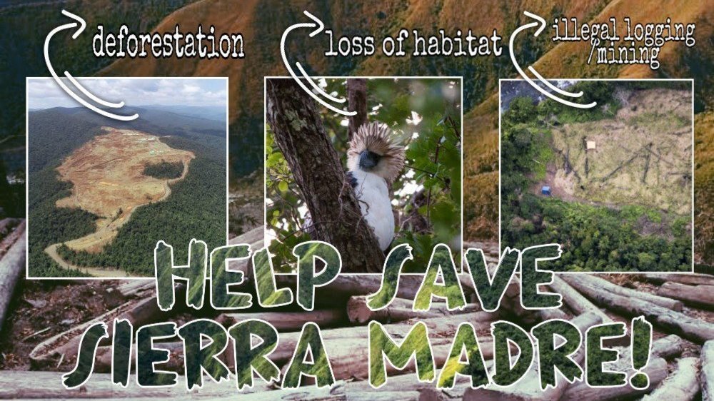 Petition · Help Save Sierra Madre The Backbone of Luzon! Philippines