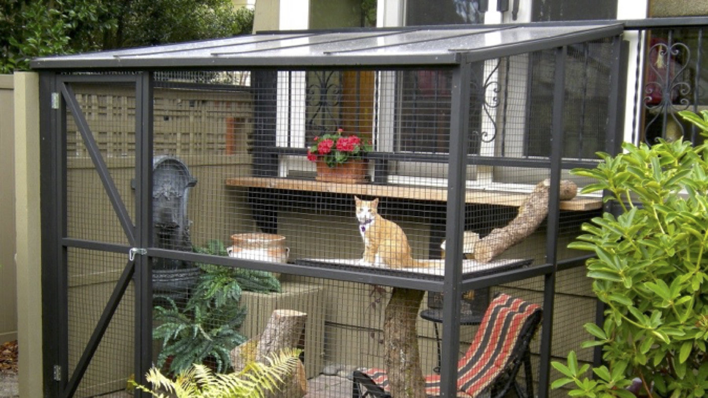 Petition · Confine Adelaide Hills cats to their owners' properties at all times. ·