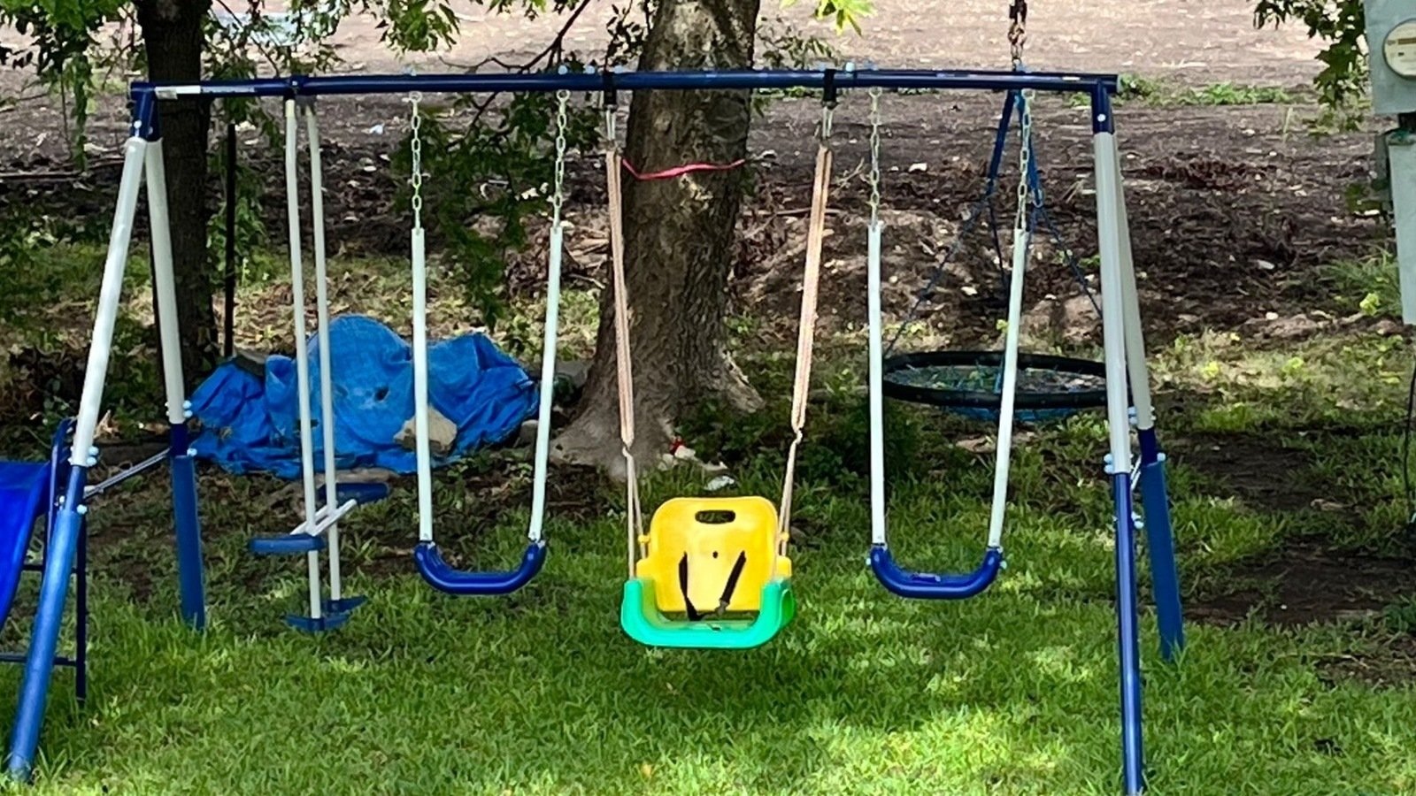 Petition · Save the trees! - United States · Change.org