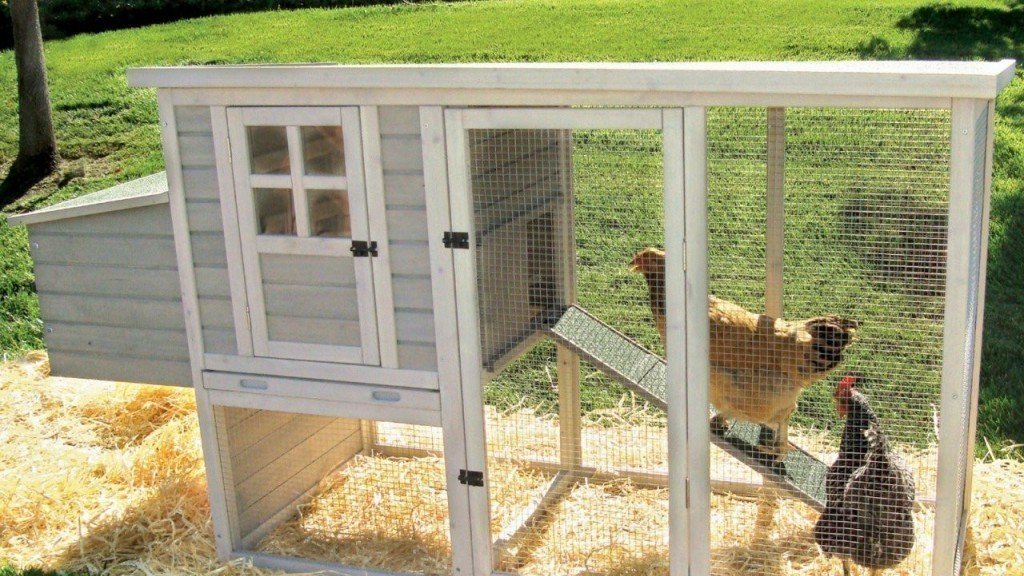 Petition · Amend Fort Wayne City Code to Allow Urban Chickens Fort