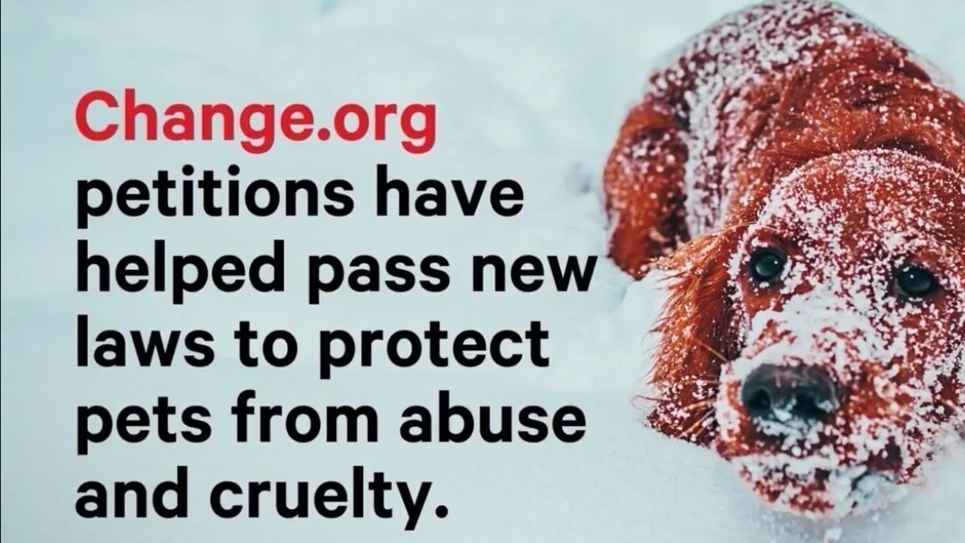 Petition · Stop leaving your dogs outside in cold weather! United