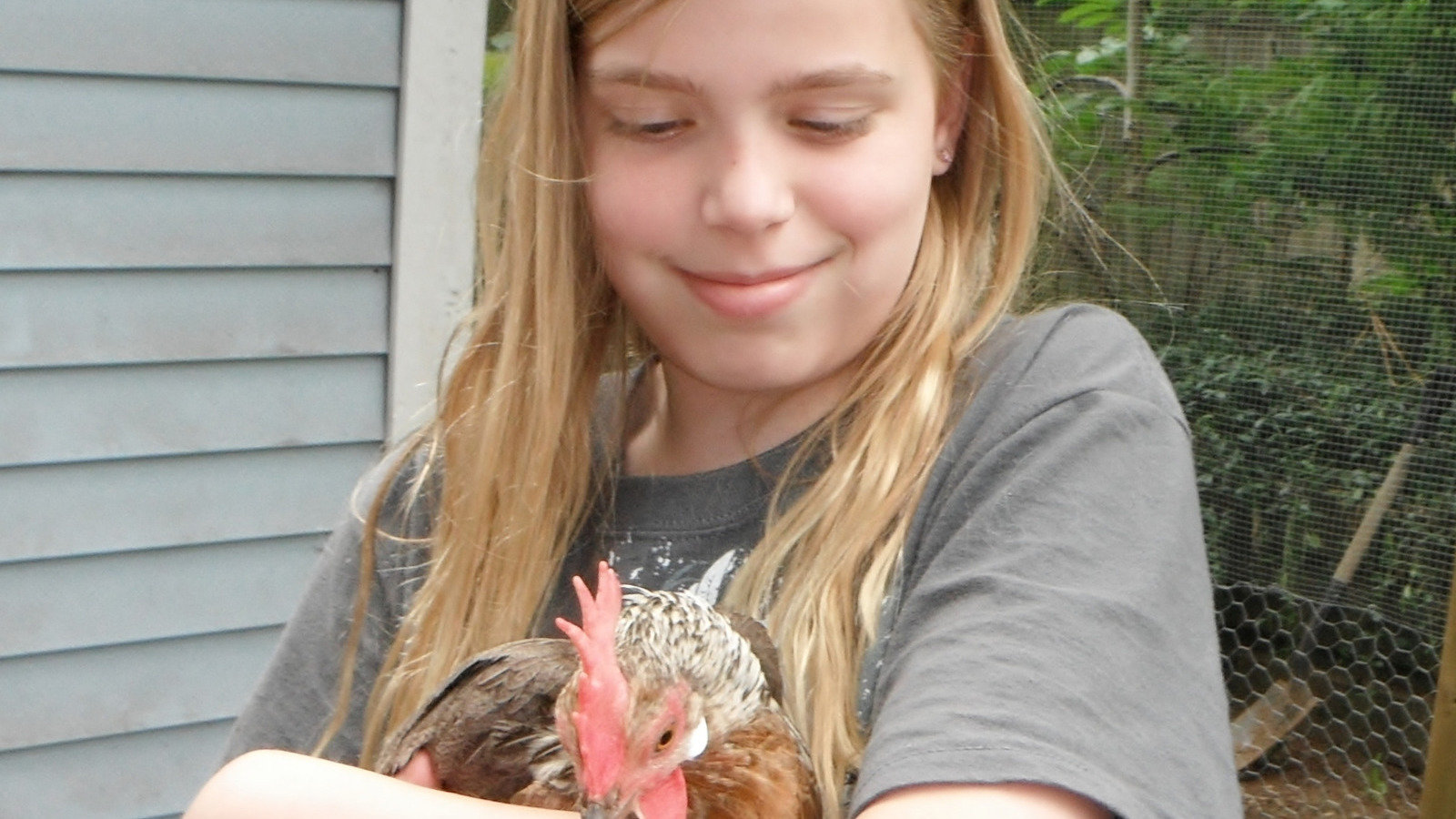 Petition · Township of Langley Mayor and Council Please allow urban