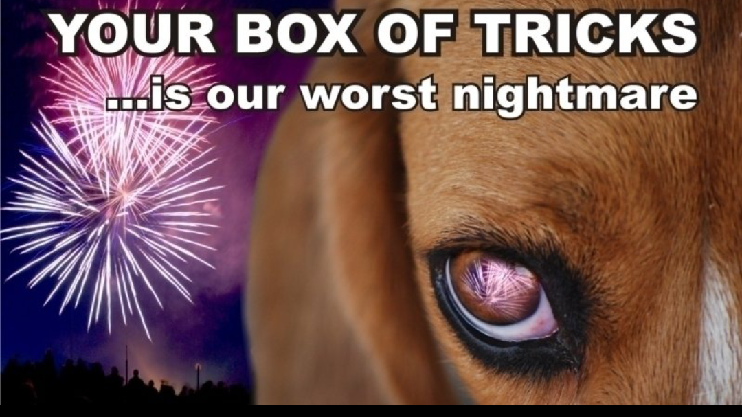 Petition · Adequate notice of fireworks in the hume city council