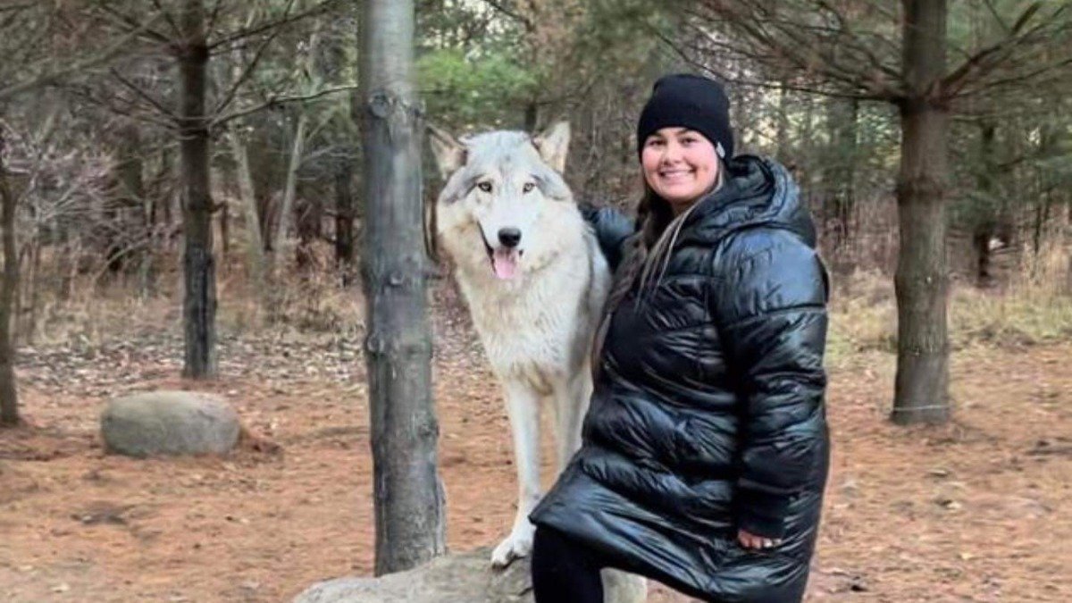 Petition · Allow interaction with wolf dogs at Rustic Retreat Deer Park