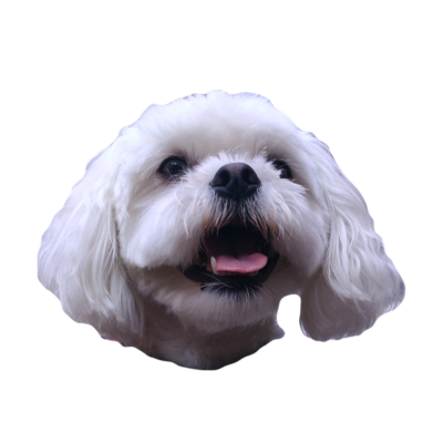 ChangeOrg profile picture for @luca