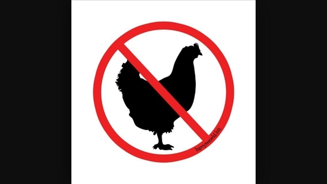 Petition · No Backyard Hens in Staunton VA ·