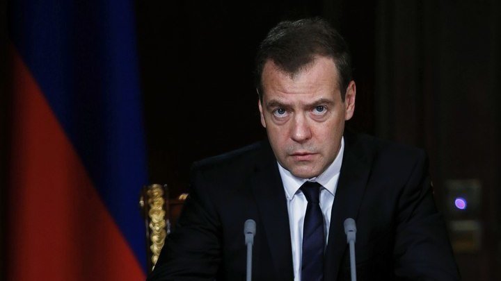 медведев дмитрий анатольевич занимаемая должность