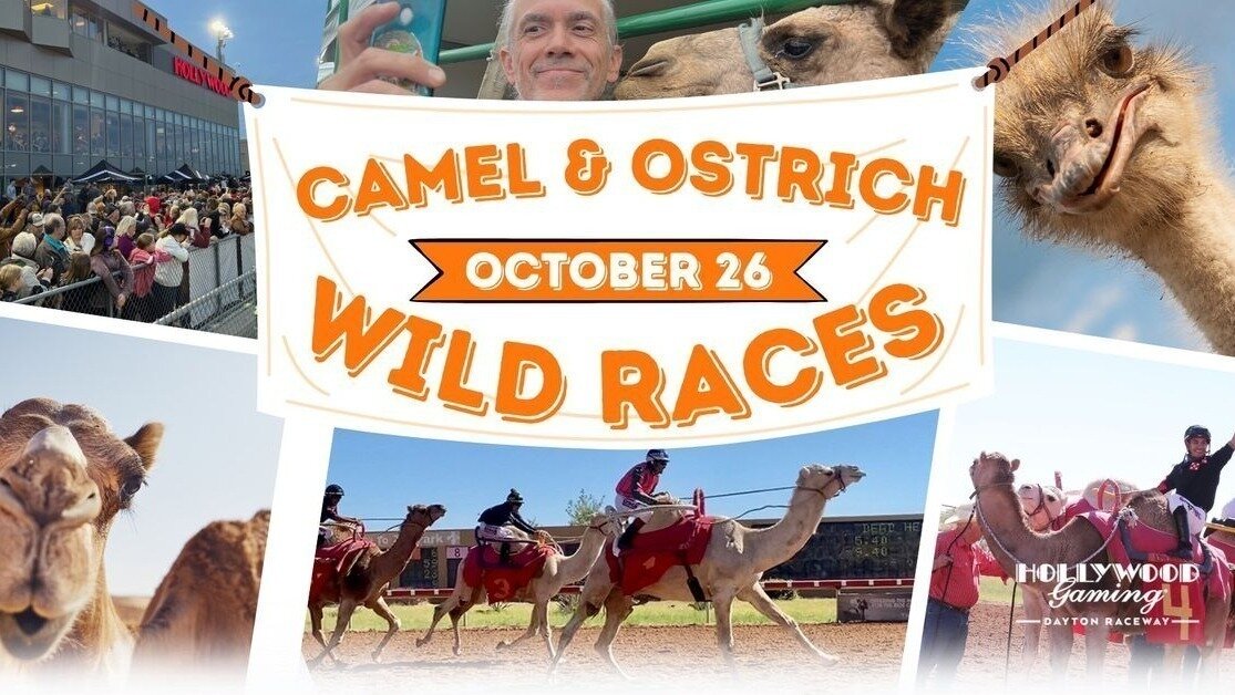 Petition · Urge Hollywood Gaming at Dayton Raceway to Stop Ostrich and ...