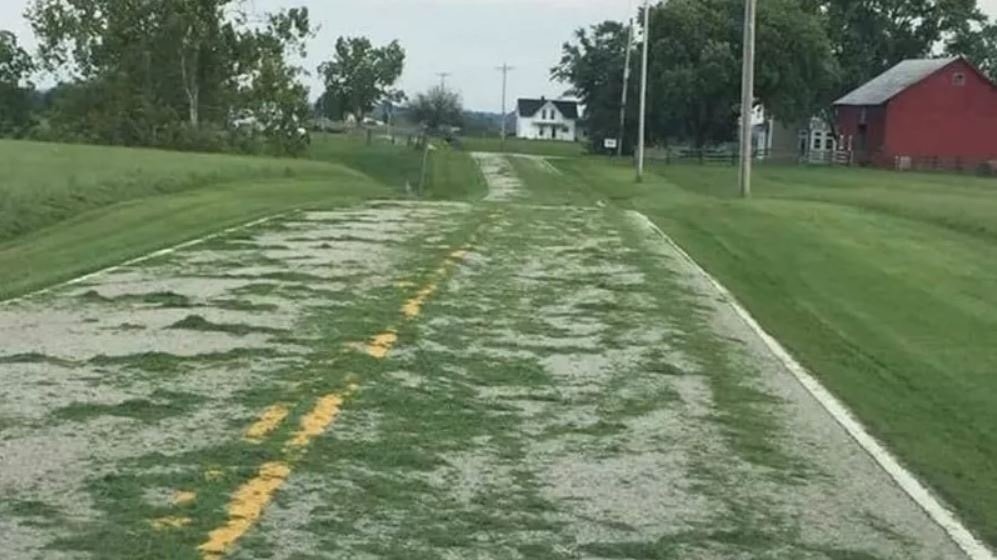 Petition · Stop people from blowing grass blades into the government roadways United States