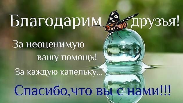 Про любовь, картинки спасибо большое за помощь поддержку