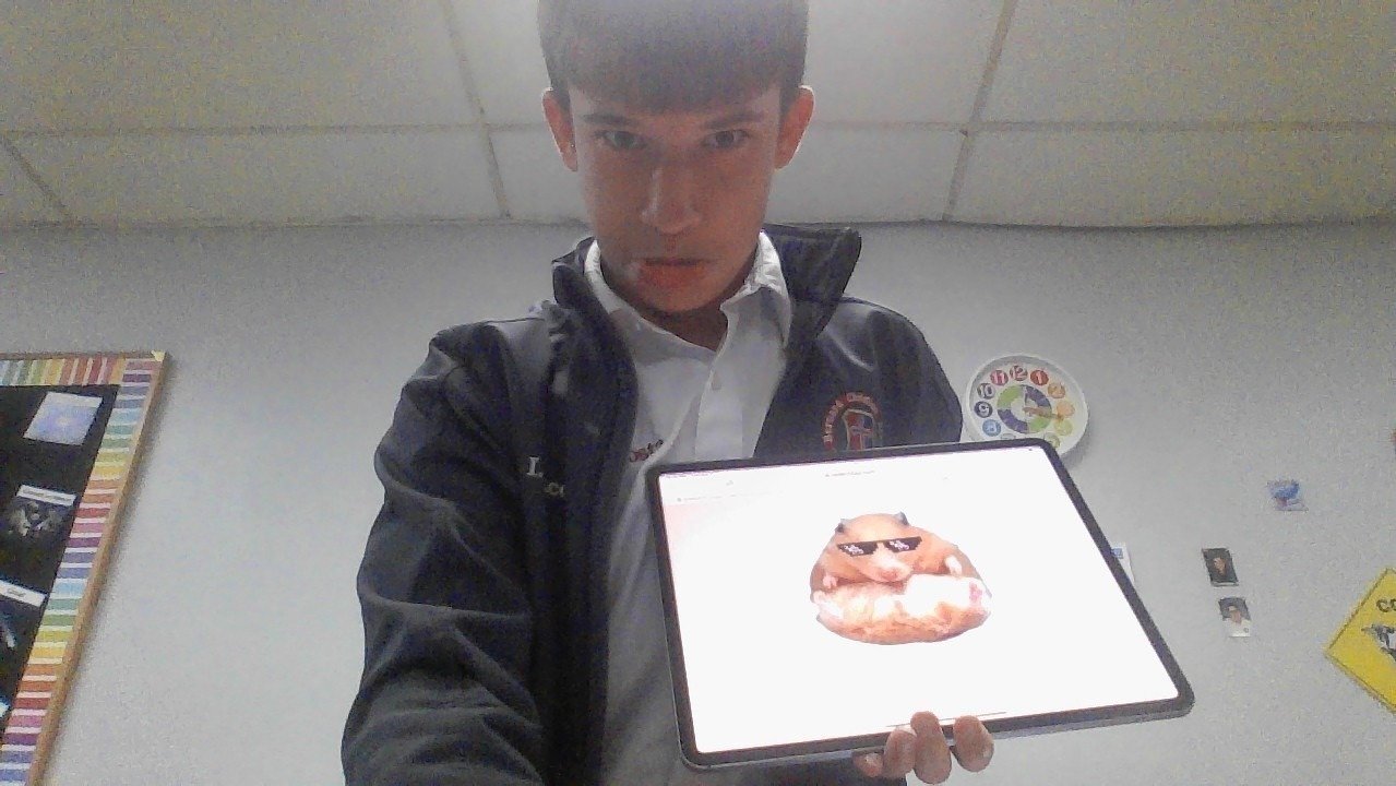 Petition · Sign to allow me to get another hamster my mommy said no. so ...