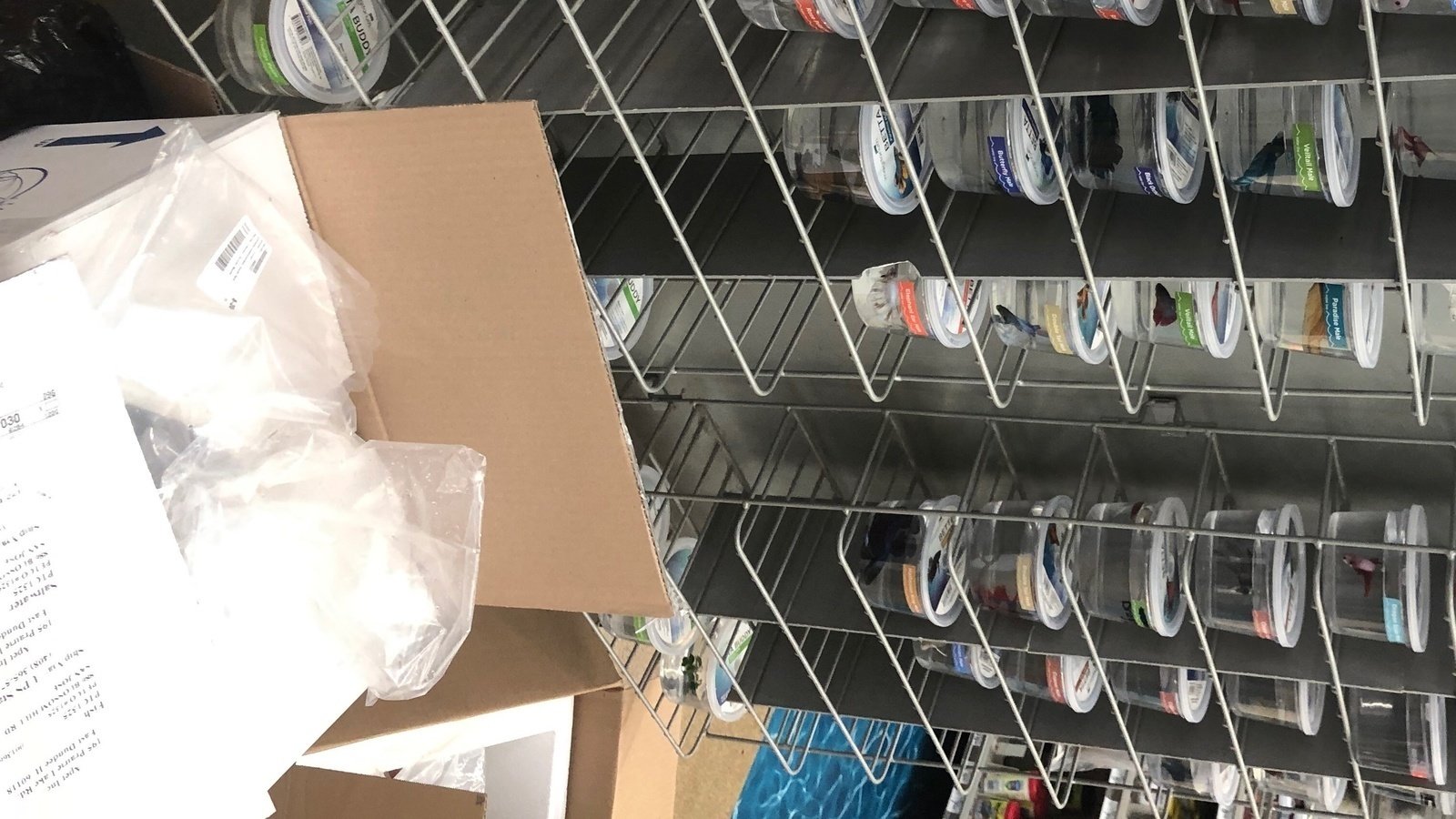 Petition · SHUT DOWN PETCO!! Obviously starving/ dead animals visibly