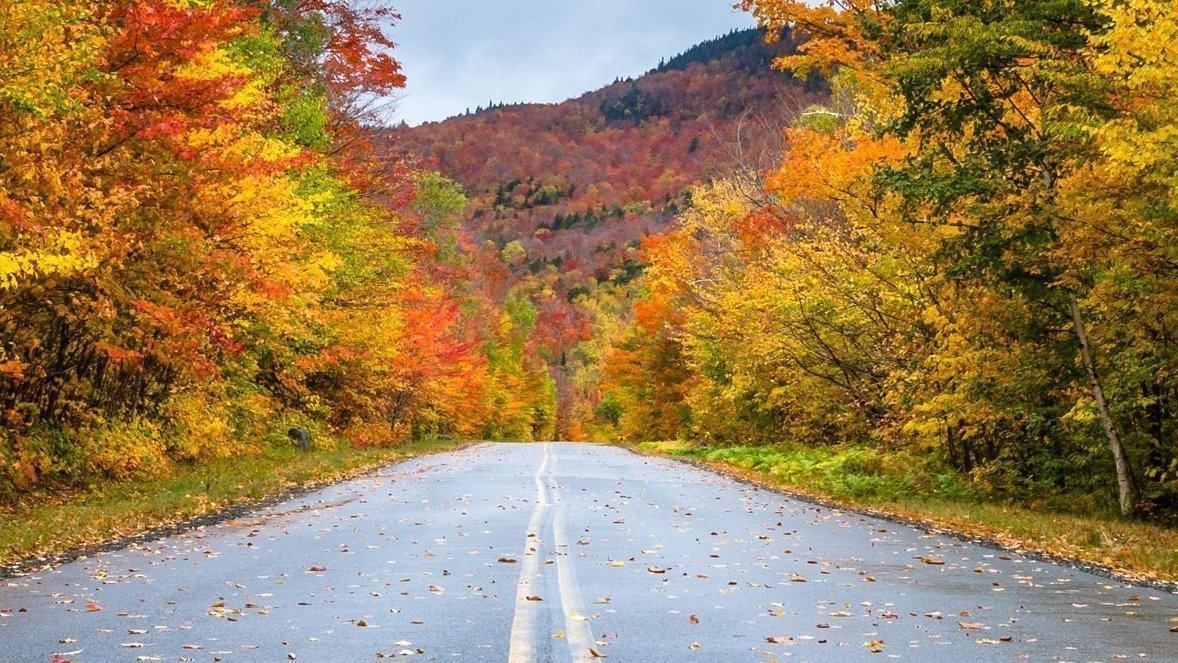 Petition · Keep Greenburgh Green and Residential · Change.org Petition · Keep Greenburgh Green and Residential · Change.org