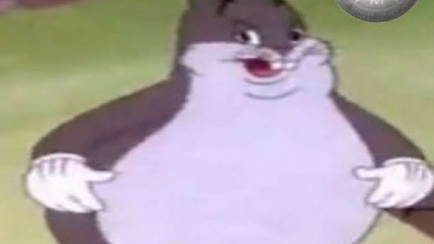Petition · Make Big Chungus a Smash Ultimate Character