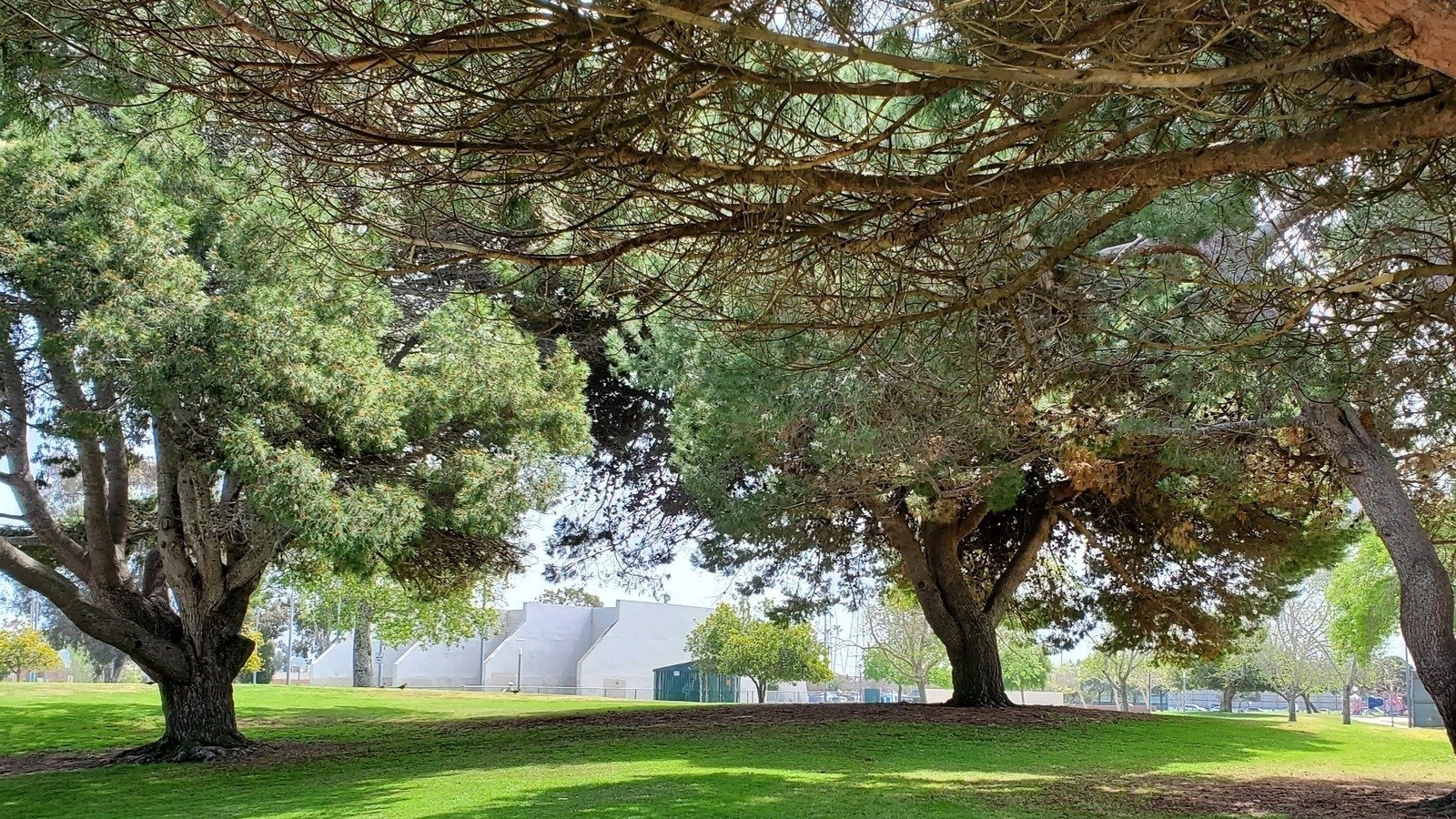 Petition · Edison park Pilot Test United States ·