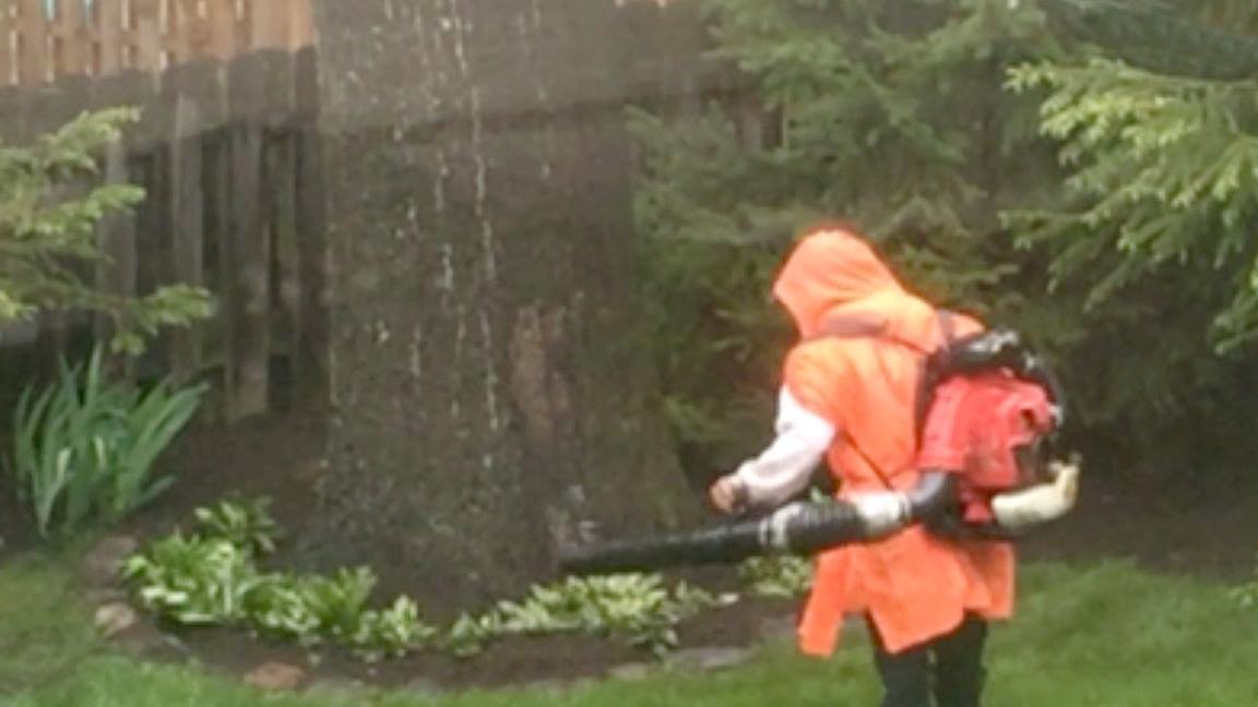 Petition · Tell the Maplewood TC that you support the "Summer Months