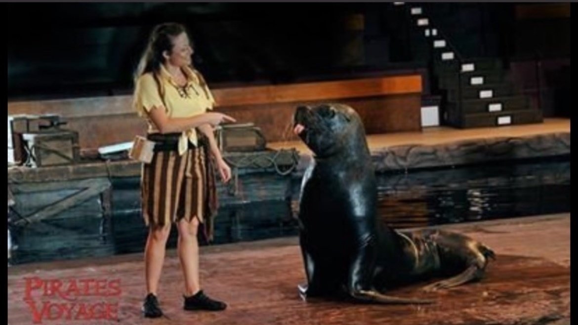 Petition · Put an end to Dolly Parton Dixie Stampede United States