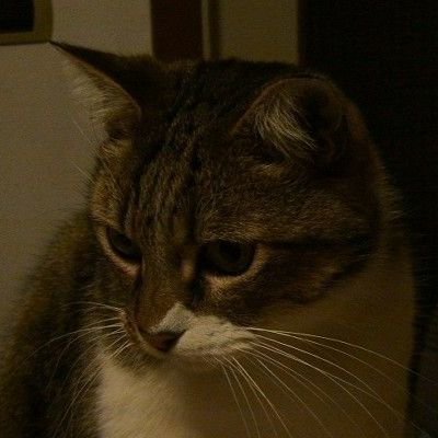 ChangeOrg profile picture for @paola