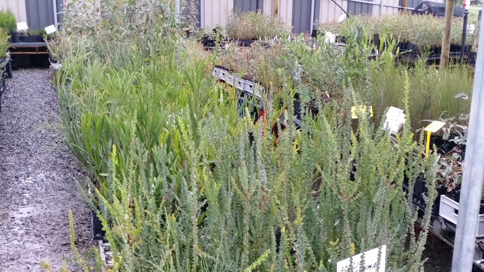 Petition · Save McLaren Vale Native Nursery Australia ·