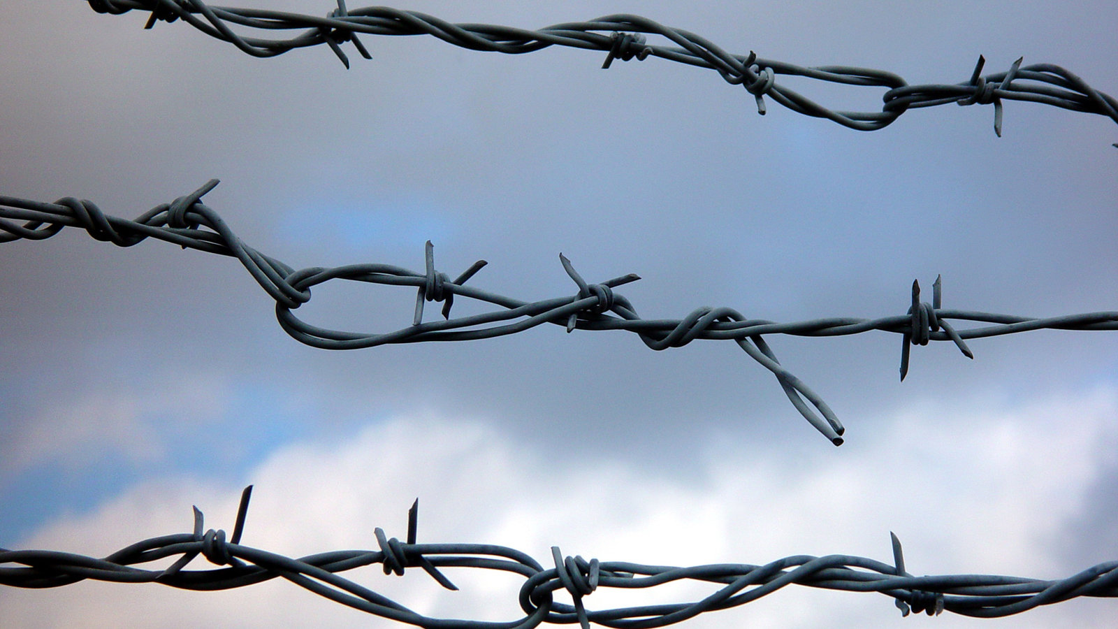 Petition · Say No to New Slaughterhouse On Long Island! United States