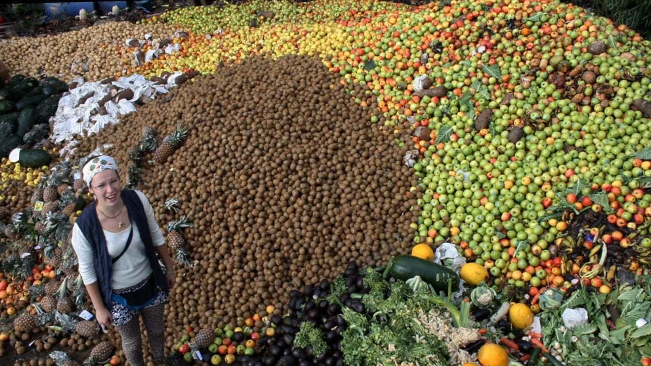 Petition · Stop the Rot! Call on supermarkets to tackle food waste in