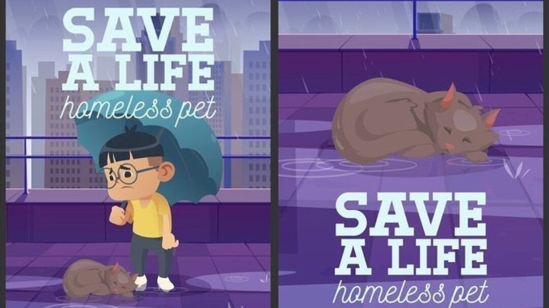 Petition · Pawsitively Free Vet Checkups and Adoption Services for