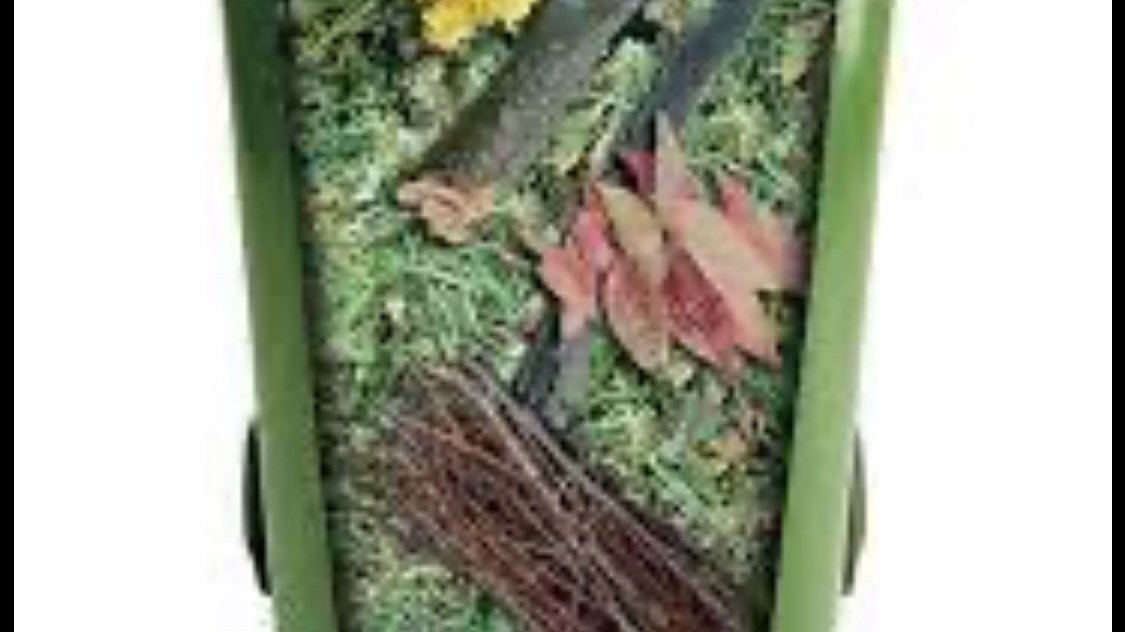 Petition · Shoalhaven Council to implement green waste bins ·