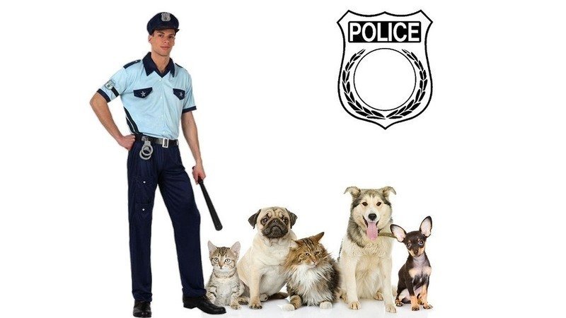 Image result for police des animaux