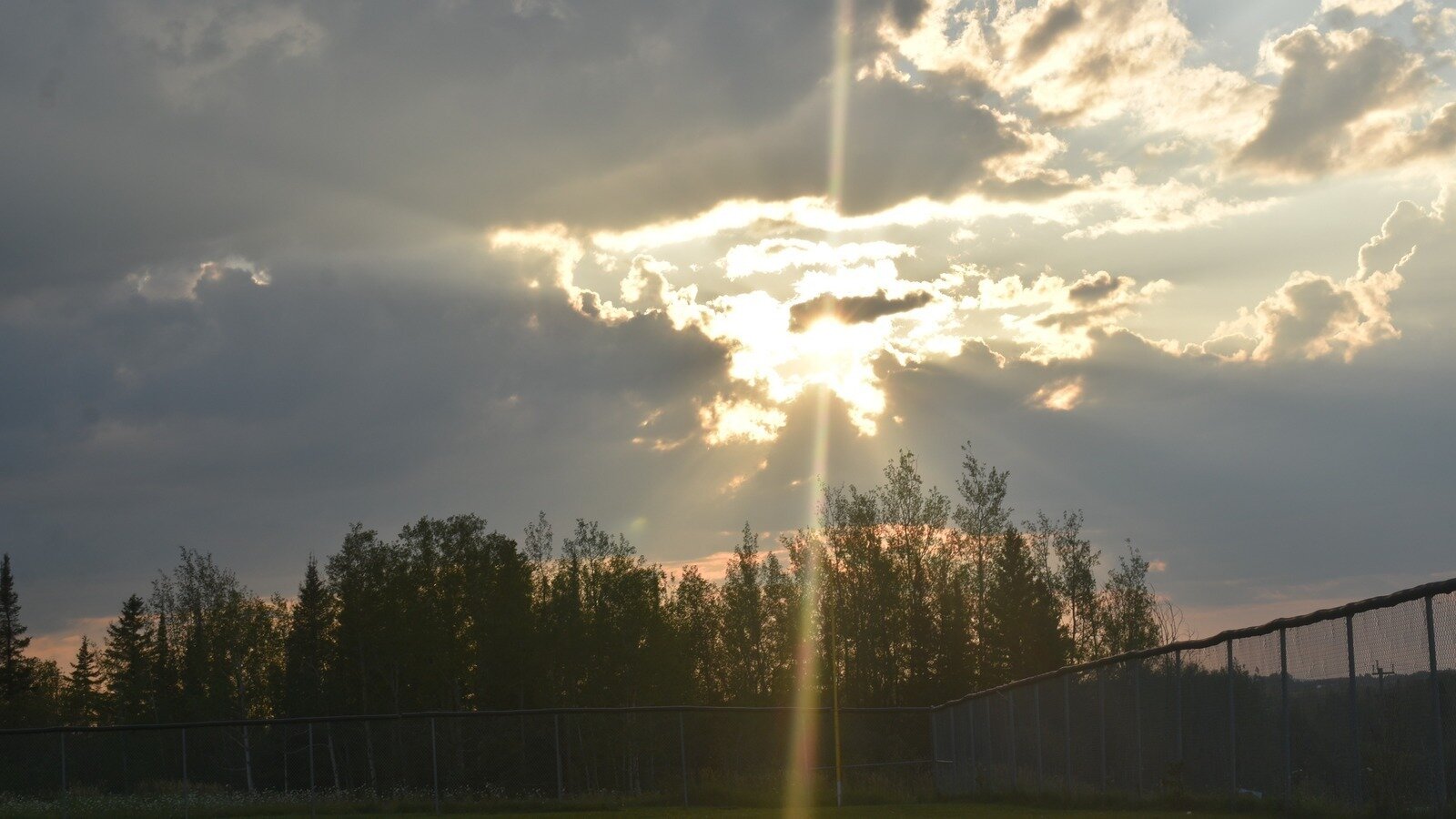 Petition · Prohibit the Practice of Servers Tipping Out to Kitchen