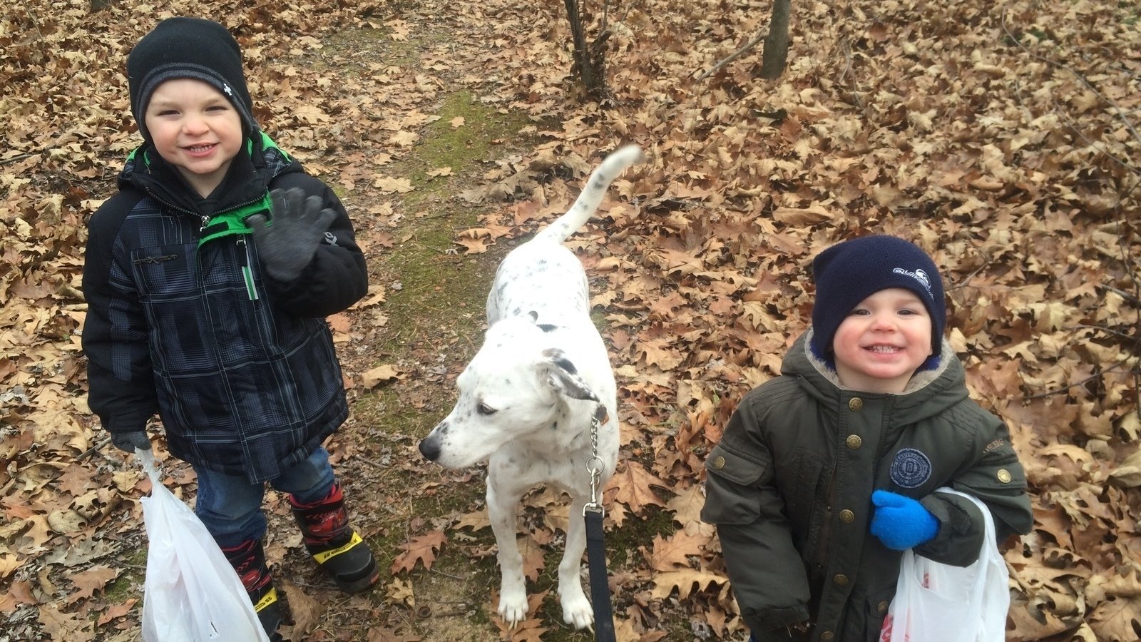 Petition · SAVE Fox River Bluff Forest Preserve ·