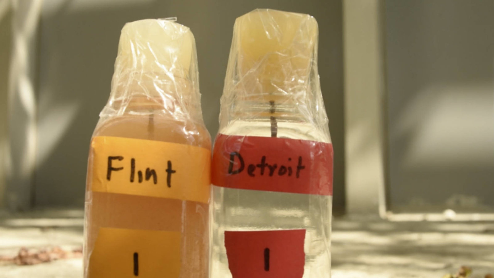 Petition · Fix the water crisis in Flint Michigan United States