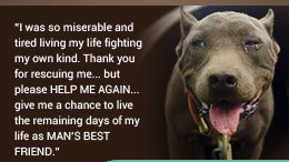 Peion United States Supreme Court Get Pit Bull Breeds Off Of Get Pit Bull Breeds Off Of