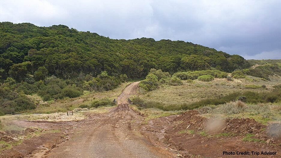 Petition · OPPOSE CONSTRUCTION OF ABERDARE FOREST IHITHENDUNYU NJERU