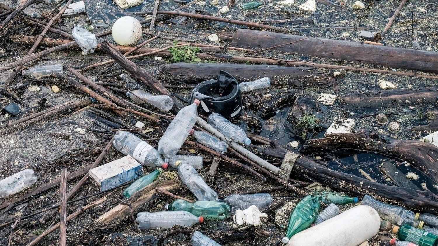 Petition · Bottle Deposit In Illinois United States ·