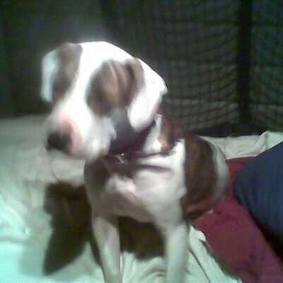 ChangeOrg profile picture for @buddy