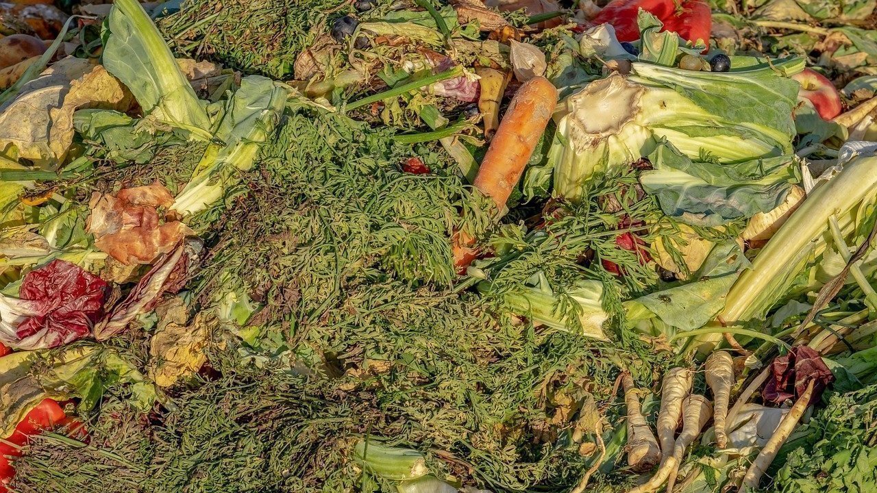 Petition · More Public Compost Centers in Kansas City United States