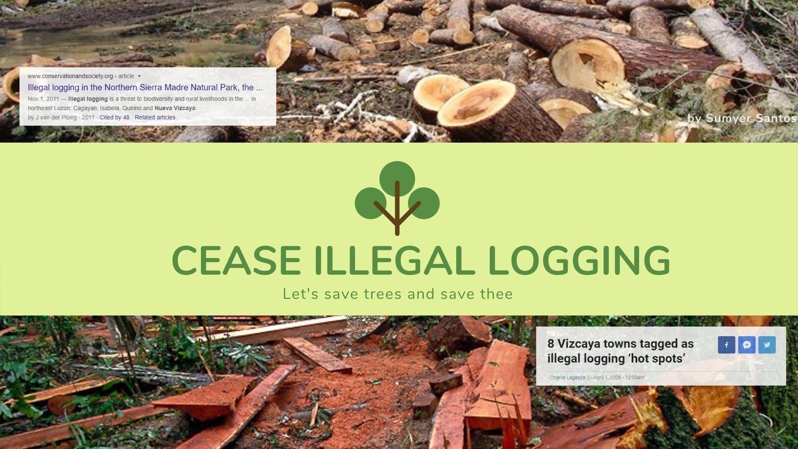 Petition · CEASE ILLEGAL LOGGING Philippines ·