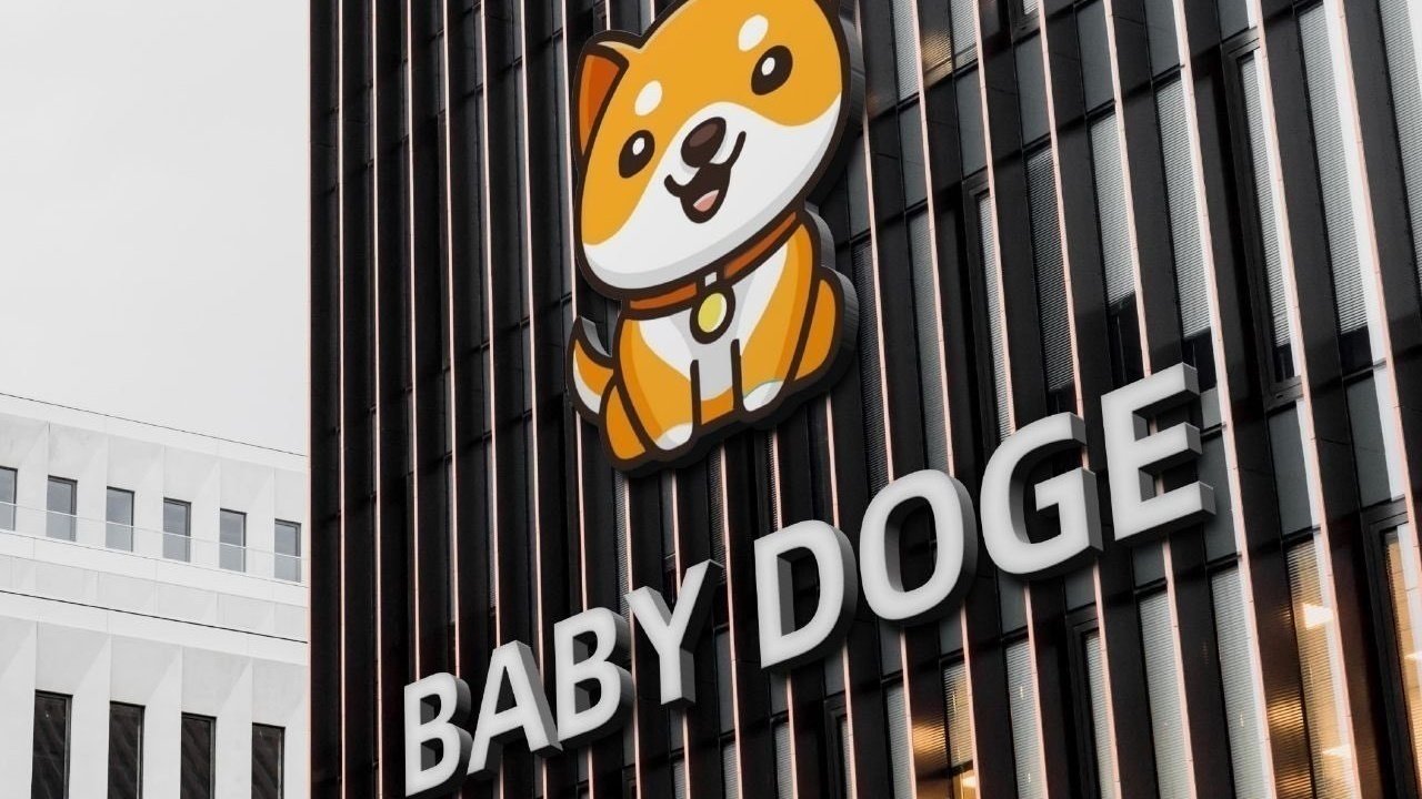 Petition · Kindly request of Binance to list BabyDoge coin ! - United  States · Change.org
