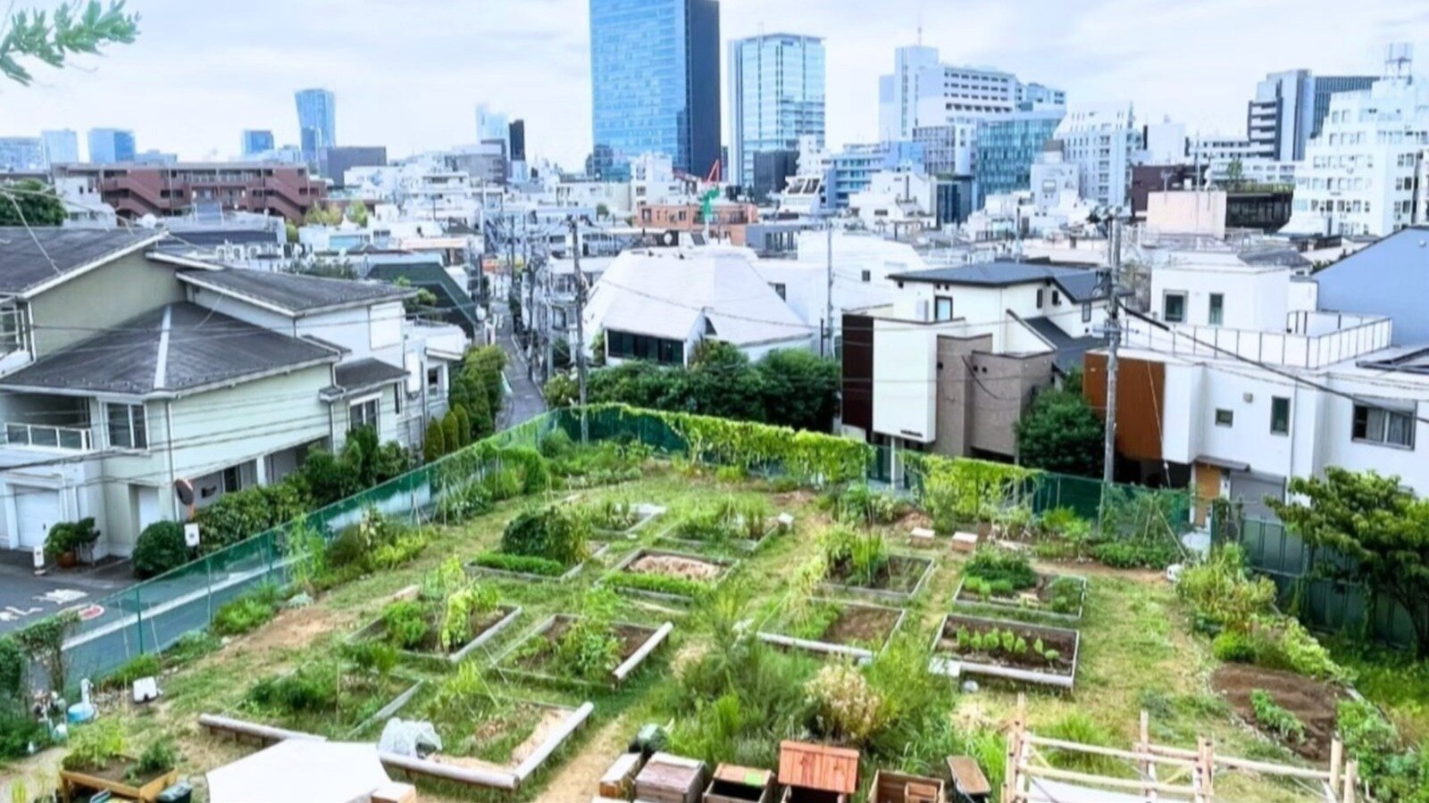 原宿の都市農園『原宿はらっぱファーム』を未来に残してください！