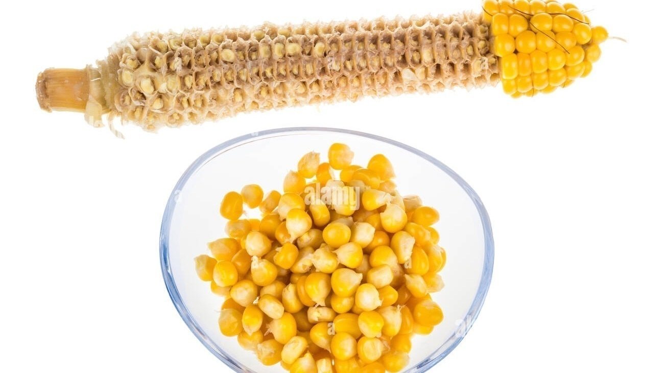 petition-keep-corn-on-the-cob-united-states-change
