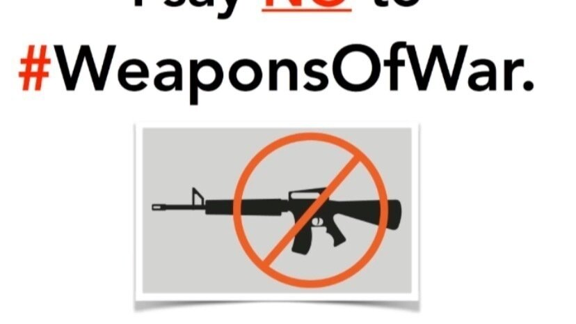 Petition · End gun violence and school shootings, and more mental ...