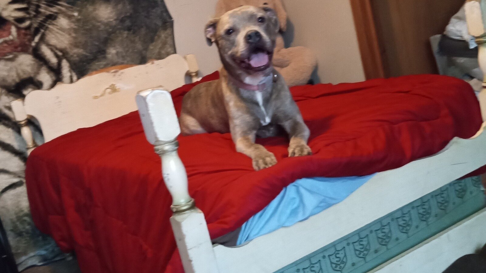 Petition · Help me save my baby Blue United States ·