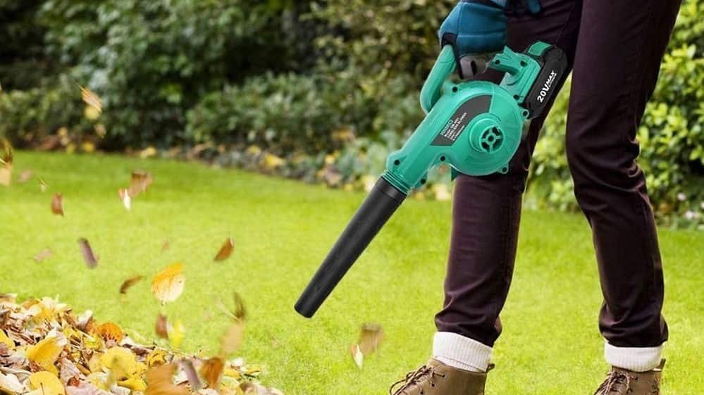 Petition · let German Leader have the right to use his leaf blower at 3