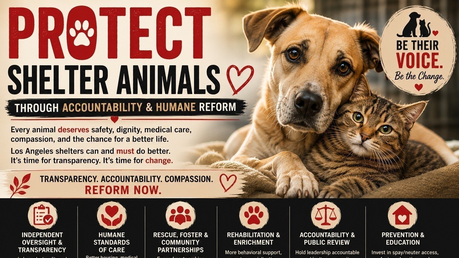Petition · Protect Shelter Animals Through Accountability and Humane ...