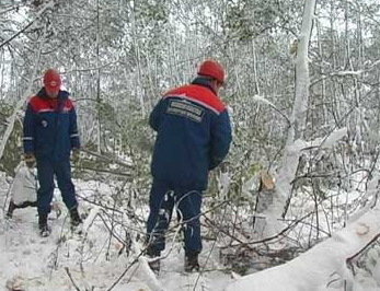 Дмитровский рэс. Березовский рэс. Дмитровский рэс. Начальник рэс. Дмитровский рэс.