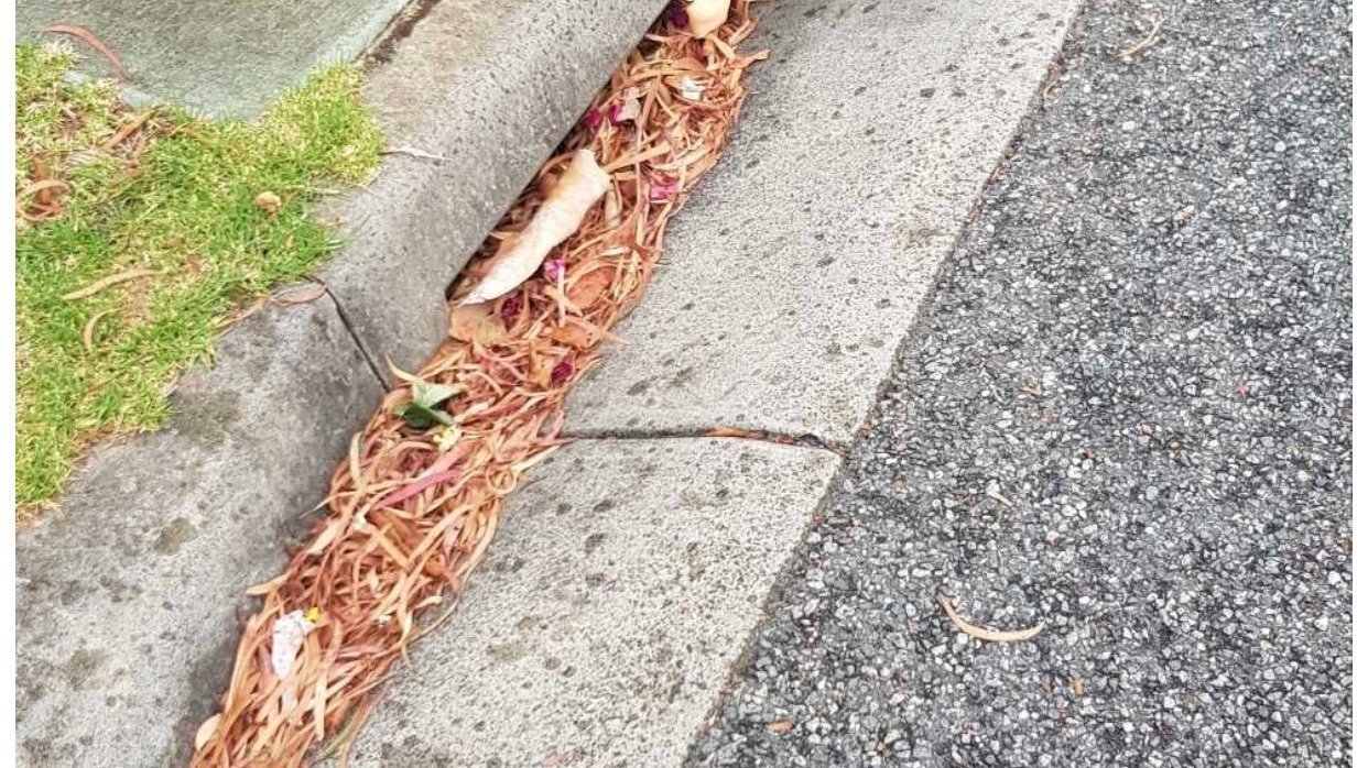 Petition · Request to Remove Gum Trees from Keysborough Residential nature strips ·