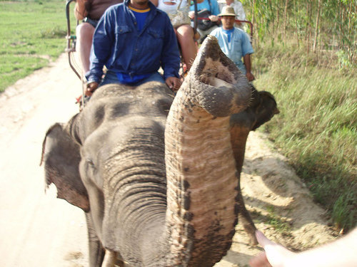 Petition · Stop Elephant Rides at the Santa Ana Zoo ...