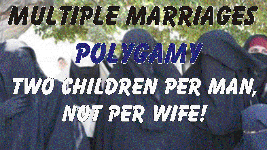 Petition · MULTIPLE MARRIAGE CULTURES IN THE UK TO HAVE TWO CHILDREN ...